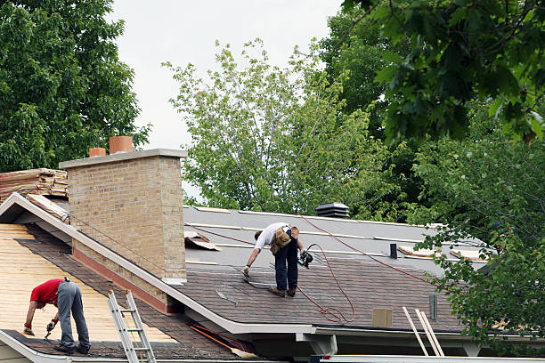 Best Roof Gutter Cleaning  in Benton, LA